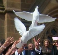doves-and-marriage.jpg